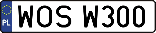 WOSW300