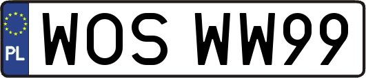 WOSWW99
