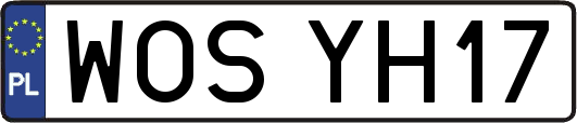 WOSYH17