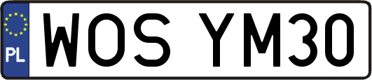 WOSYM30