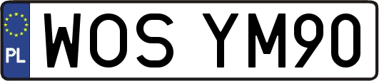 WOSYM90