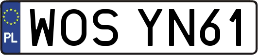 WOSYN61
