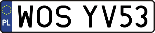 WOSYV53
