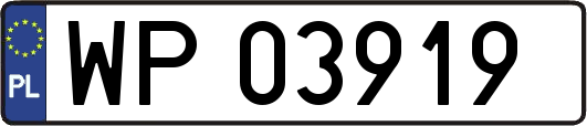 WP03919