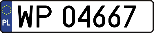 WP04667