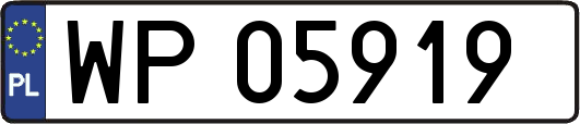 WP05919