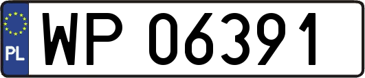 WP06391