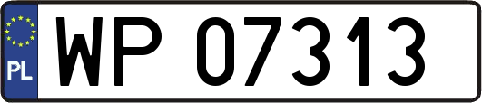 WP07313