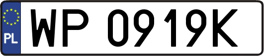 WP0919K