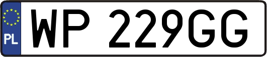 WP229GG