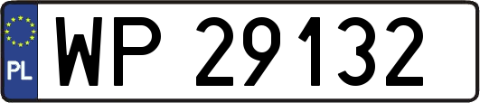 WP29132