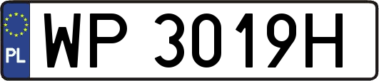 WP3019H