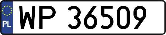 WP36509