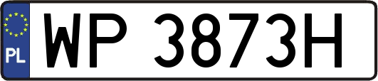 WP3873H