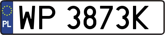 WP3873K