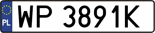 WP3891K