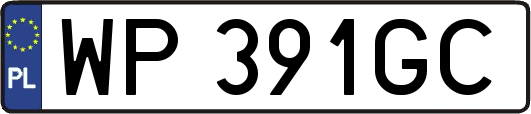 WP391GC