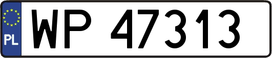 WP47313