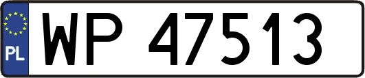 WP47513