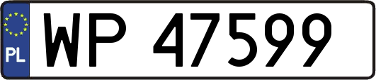 WP47599