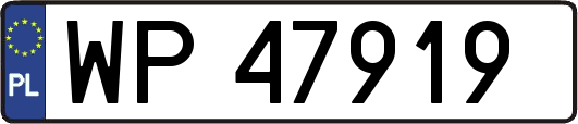 WP47919