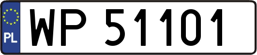 WP51101