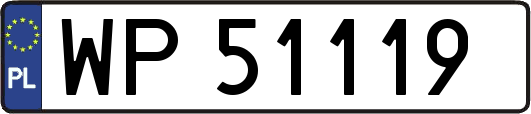 WP51119