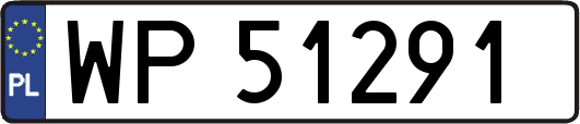 WP51291