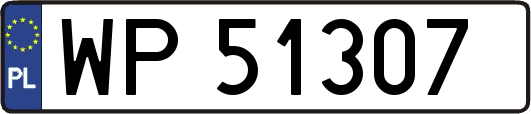 WP51307