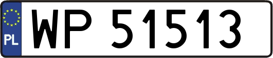 WP51513