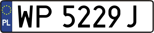 WP5229J