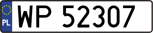 WP52307