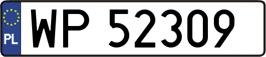 WP52309