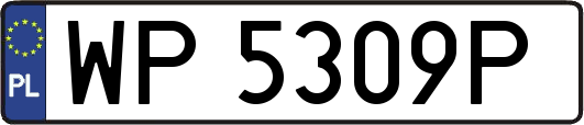 WP5309P
