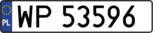 WP53596