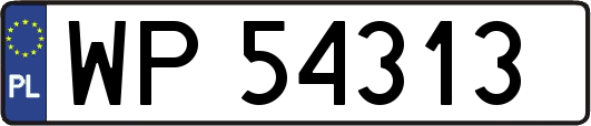 WP54313