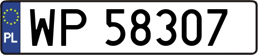 WP58307