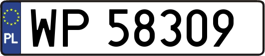 WP58309