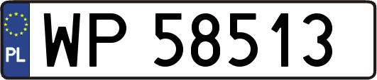 WP58513