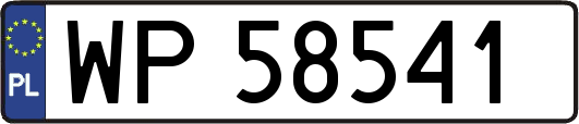 WP58541
