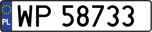 WP58733