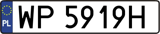 WP5919H