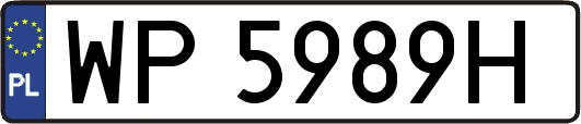 WP5989H
