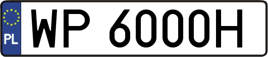WP6000H