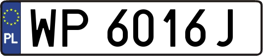 WP6016J