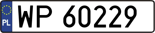 WP60229