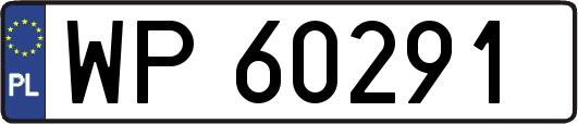 WP60291
