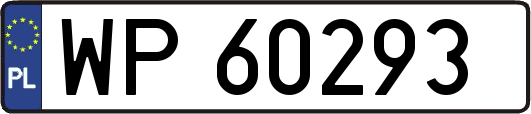 WP60293