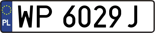 WP6029J