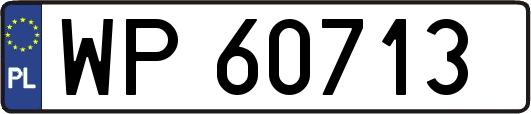 WP60713